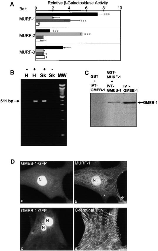 Figure 9.