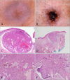 Fig. 4