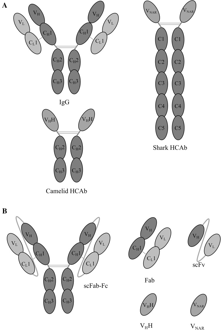 Fig. 1