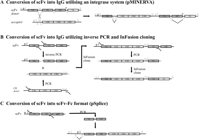 Fig. 3