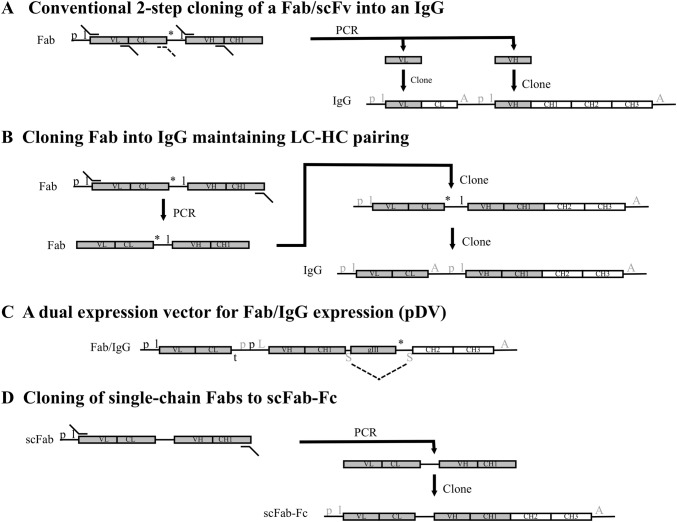 Fig. 2