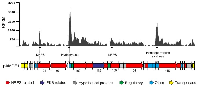 Figure 6