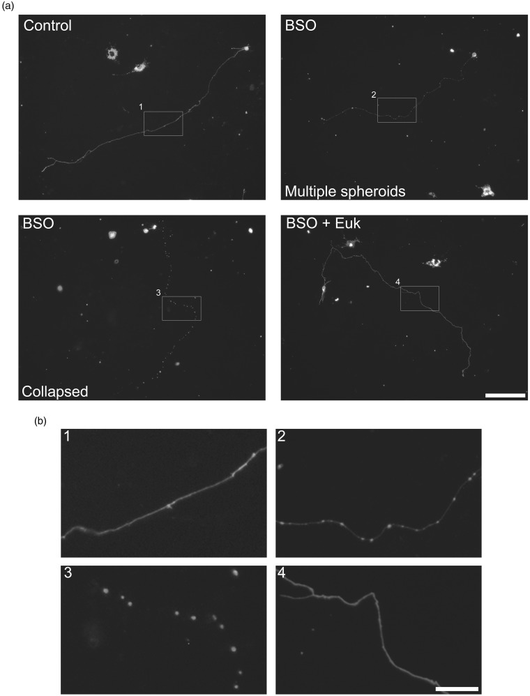 Figure 7.