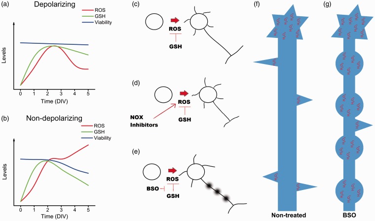 Figure 9.