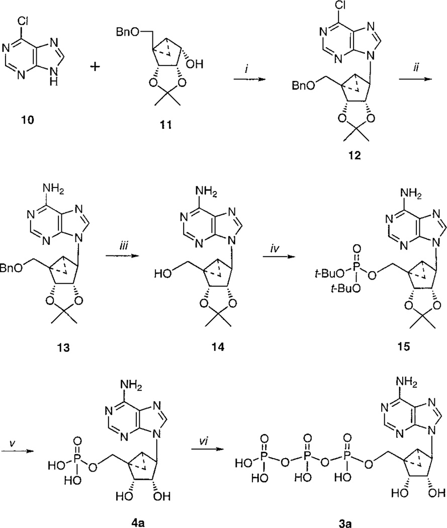 Scheme 2