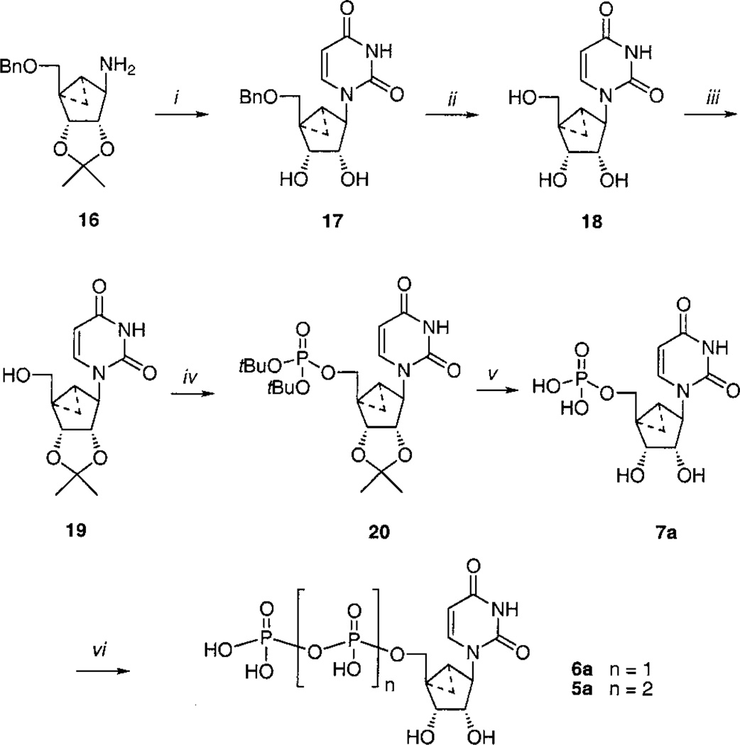 Scheme 3