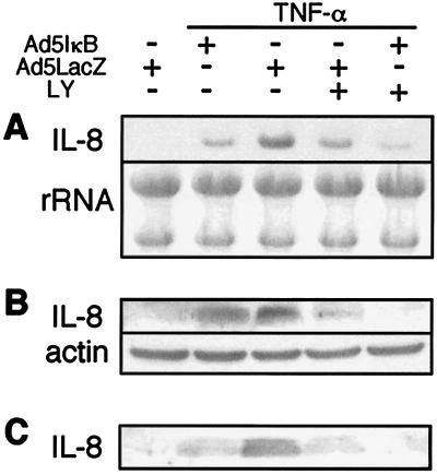 FIG. 6.