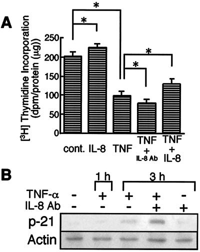 FIG. 9.