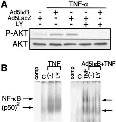 FIG. 7.