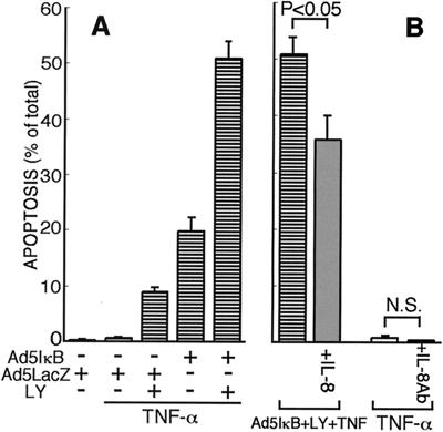 FIG. 5.