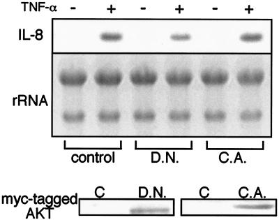 FIG. 8.