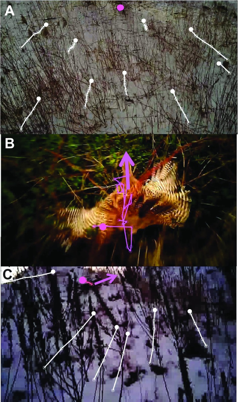 Fig. 4.