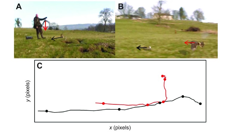 Fig. 7.