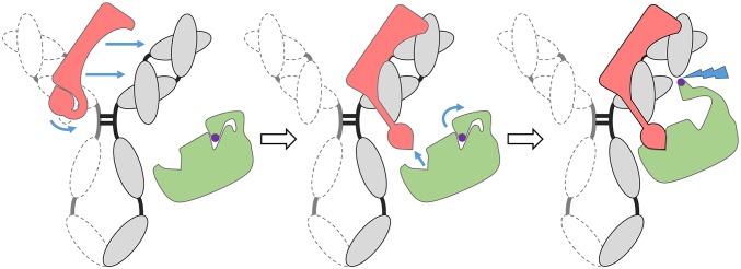 Fig. 5.