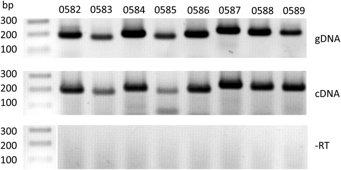 Fig. S1.