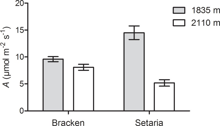 Fig 2