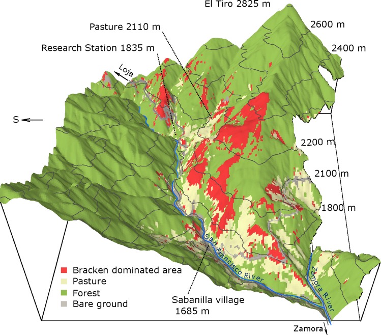 Fig 1