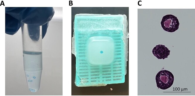 Figure 10