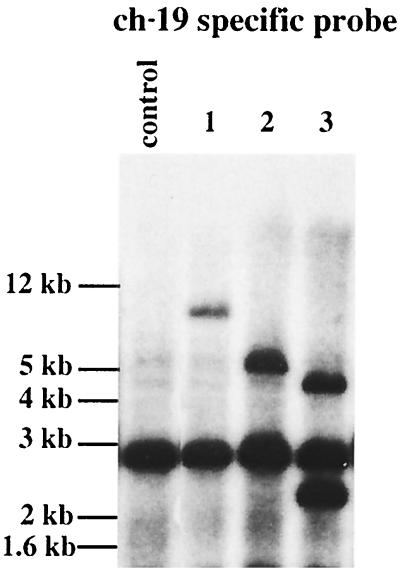 FIG. 8