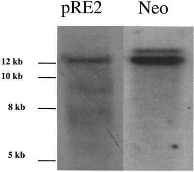 FIG. 9