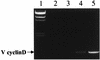FIG. 6.