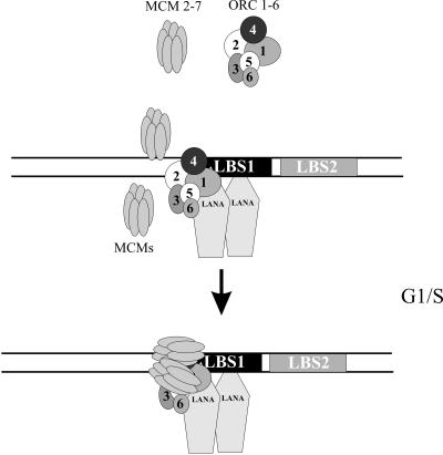 FIG. 9.