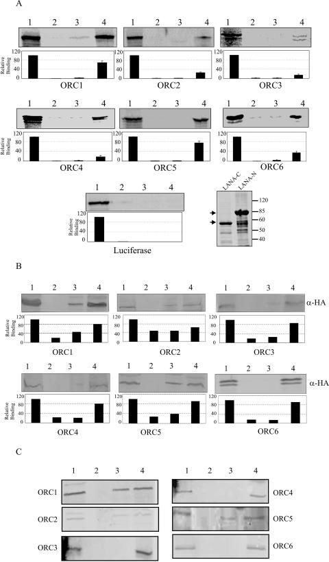 FIG. 6.