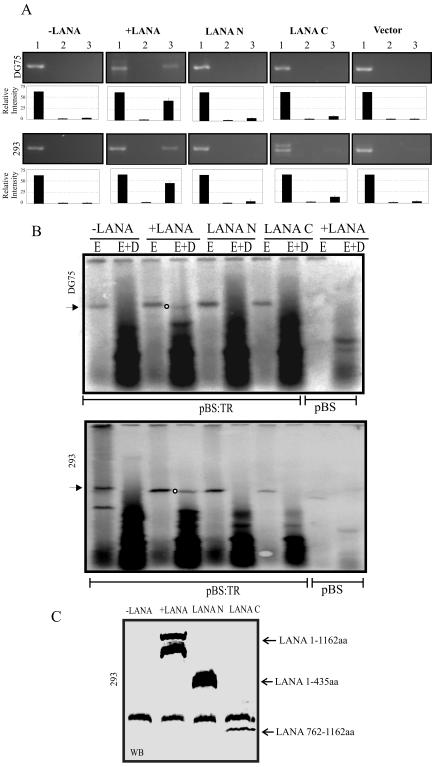 FIG. 7.