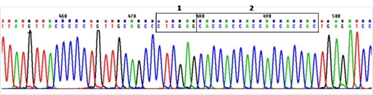 Figure 4 