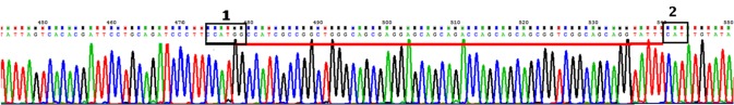 Figure 5 