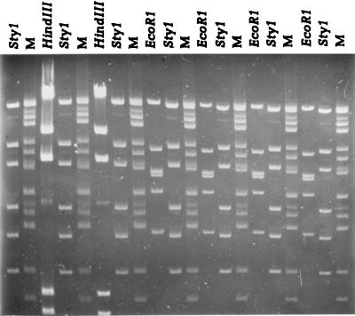 FIG. 1