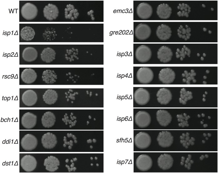 Fig 3