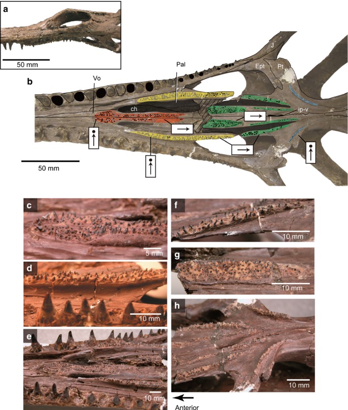 Figure 11