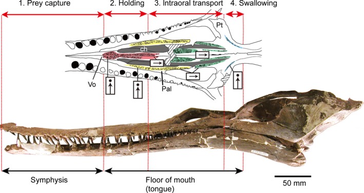 Figure 13