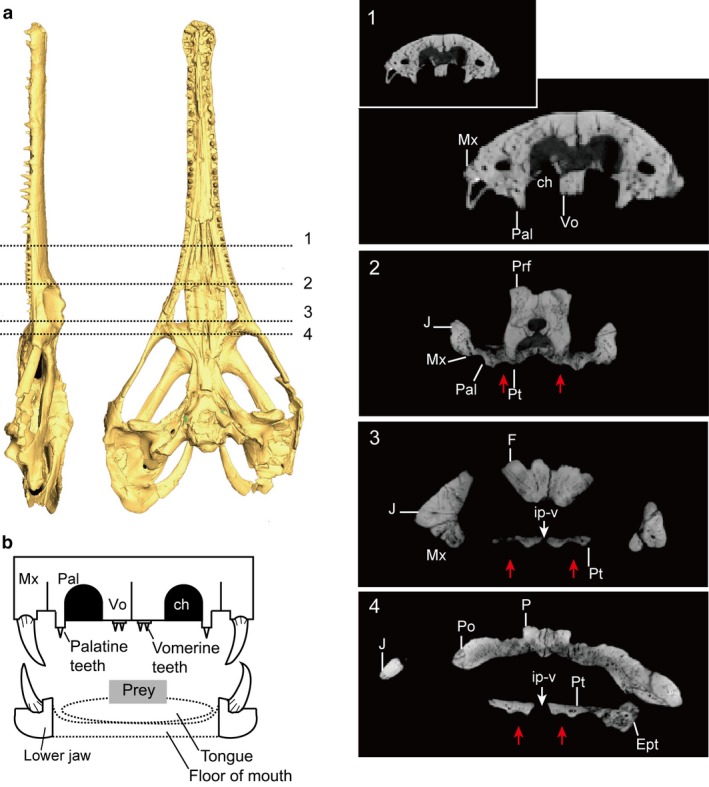 Figure 10