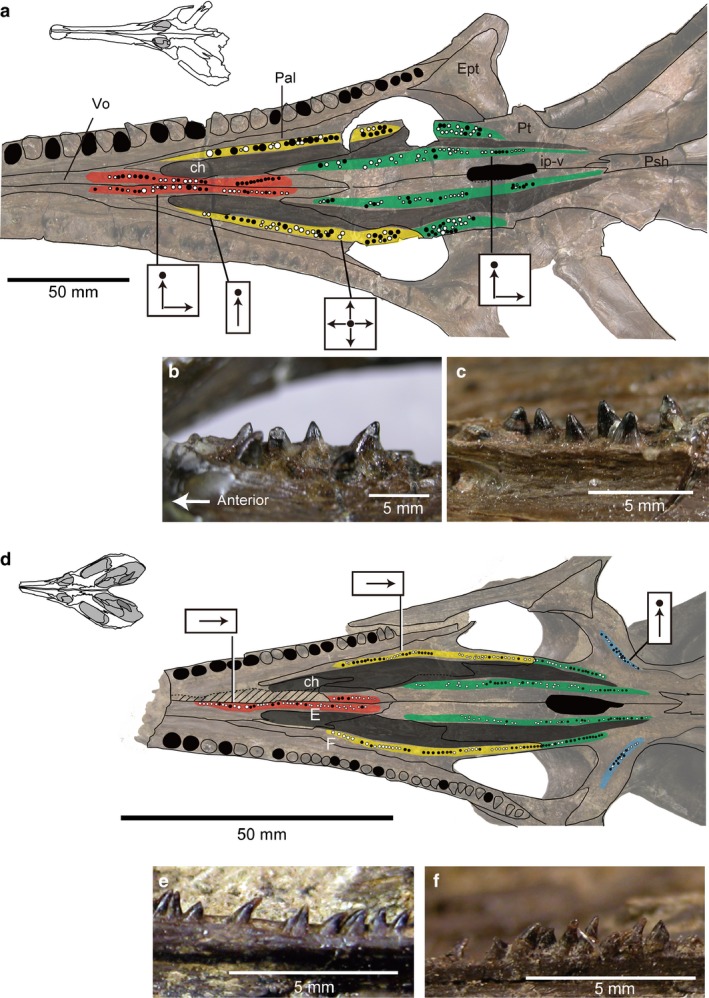 Figure 12