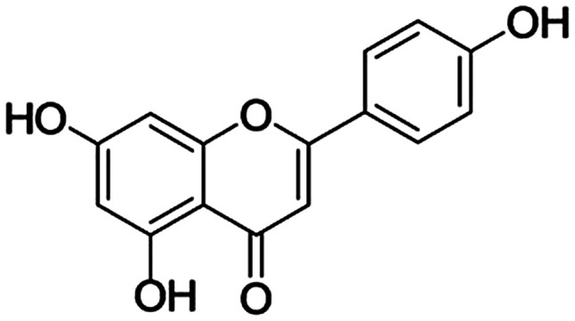 Figure 1.