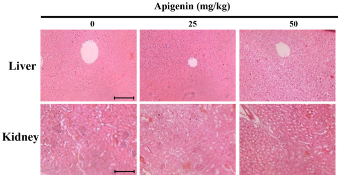 Figure 10.