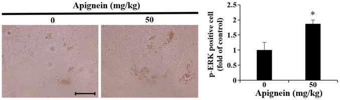 Figure 9.