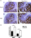 FIG. 7.