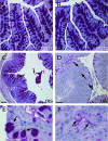 FIG. 2.