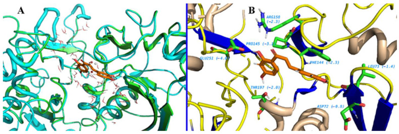 Figure 9