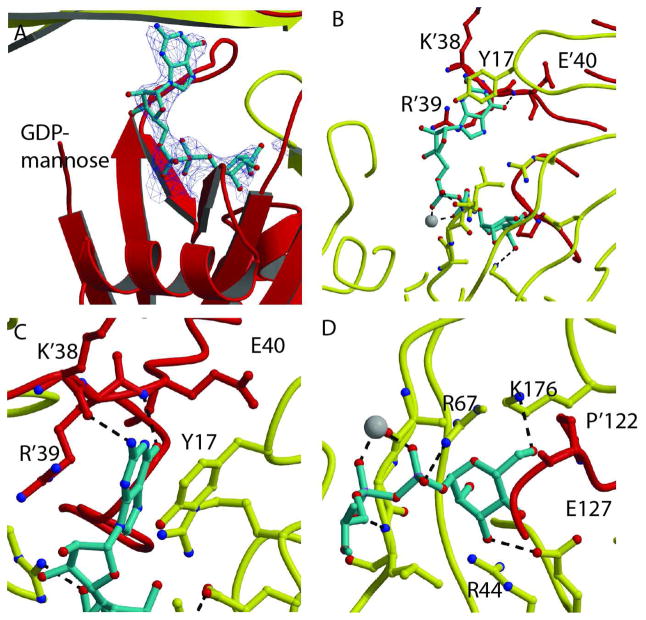 Fig. 3