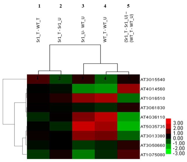 Figure 5