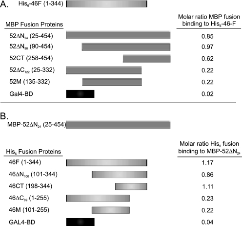 FIGURE 3.