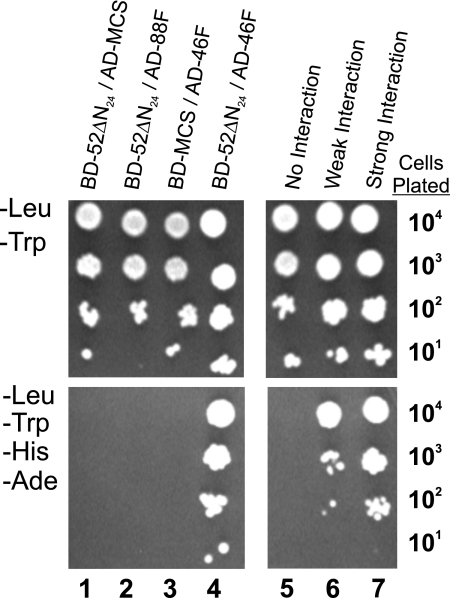 FIGURE 1.