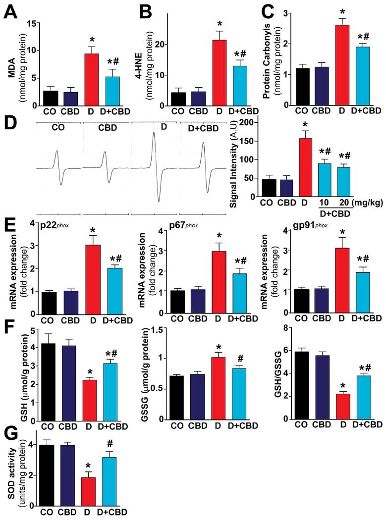 Fig.2