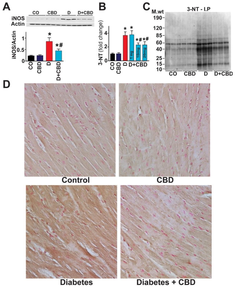 Fig.4