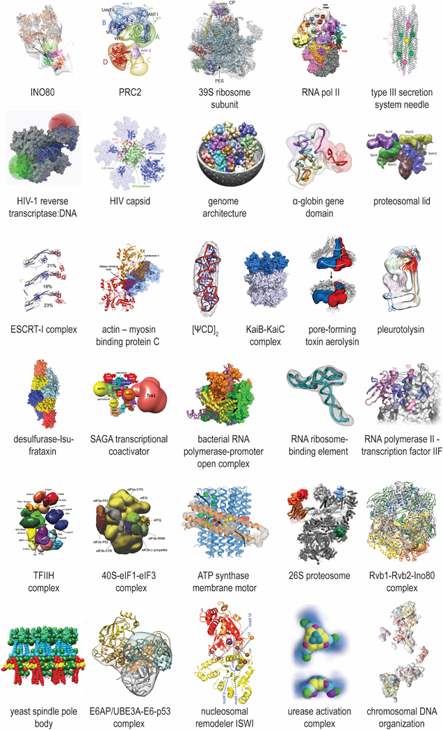 Figure 1: