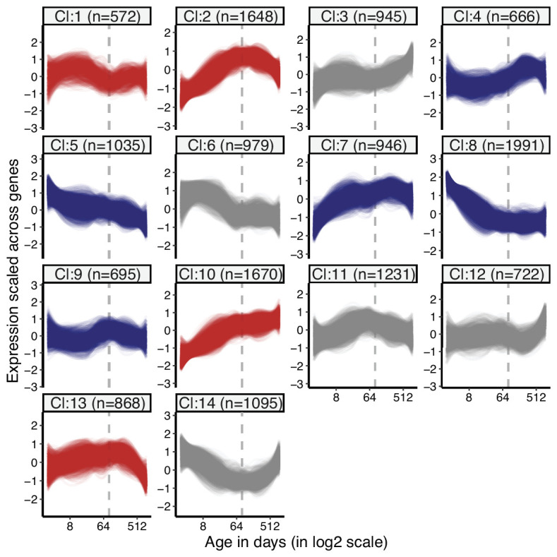 Figure 1—figure supplement 14.